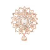 Champagne Rhinestone Brooch for Stylish Women