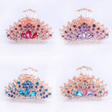 Zircon Crown Plate Hair Clip Back Head Hair Accessory