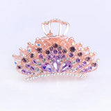 Zircon Crown Plate Hair Clip Back Head Hair Accessory