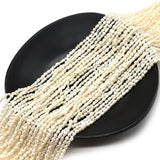 Natural Fresh Water Pearl Rice Shaped Pearl Women Fine Jewelry DIY