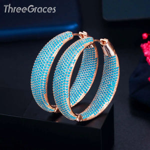 ThreeGraces CZ Circle Round Hoop Earrings ER601