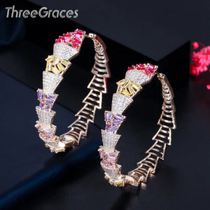 Sparkling Multicolor CZ Geometric Circle Hoop Earrings ER629