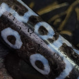 Tibetan Weathered Gray/White 7 Eyes Totem Agate Dzi Beads Necklace