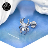Titanium G23 Spider Stud Set Zircon Tragus Piercing