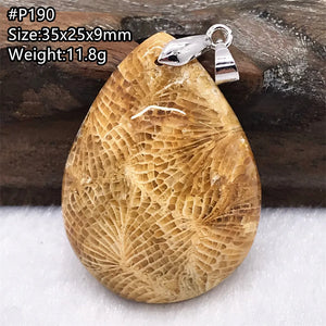 Natural Chrysanthemum Coral Pendant Luck Gift Jewelry