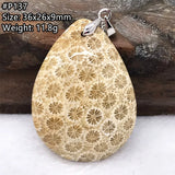 Natural Chrysanthemum Coral Pendant Jewelry Healing Gift AAAAA