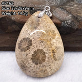 Natural Chrysanthemum Coral Pendant Jewelry Healing Gift AAAAA