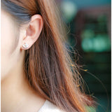 Natural Freshwater Pearls Shell Stud Earrings 925 Sterling Silver Earring
