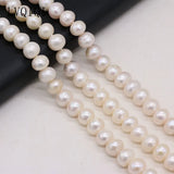 Freshwater Pearl Abacus Beads for DIY Jewelry Making