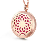 Perfume Locket 316L Stainless Steel Aromatherapy Diffuser Pendant Necklace