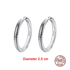 925 Sterling Silver Pendiente Charm Hoop Earrings For Women