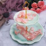 Silicone Mold for DIY 2 Layer Fruit Tray Champagne Rack