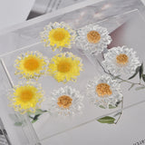 Resin Flower Mosaic Platinum Daisy Earrings DIY Accessories