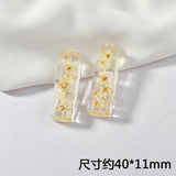Rectangular dried flower pendant DIY earrings 2pcs