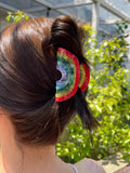 Rainbow Acetate Hair Clip Claw for Women Girls