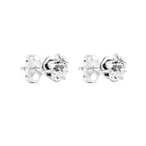 Celestial Star Stud Earrings For Women's Christmas Jewelry Gift
