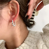 Vintage Simulated Pearl U Shape Earring For Women