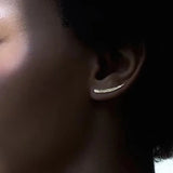 925 Silver Feather Earrings with Inlay Crystal for Women