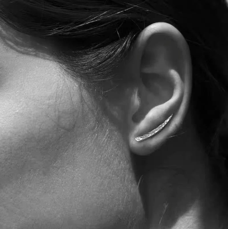 925 Silver Feather Earrings with Inlay Crystal for Women