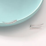 925 Silver Feather Earrings with Inlay Crystal for Women