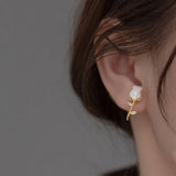 925 Silver 18K Shell Heart CZ Stud Earrings For Women Wedding DG0167