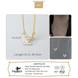 Davis 925 Sterling Silver Heart Zircon Necklace for Women