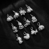 TrustDavis 925 Sterling Silver 12 Zodiac Sign CZ Pendant