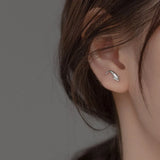 TrustDavis Dolphin Stud Earrings For Daughter