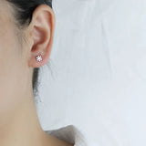 925 Silver Winter Snowflakes Stud Earrings For Women DB380
