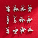 TrustDavis 925 Silver Zodiac Bracelet Pendant for Women Birthday Jewelry DZ830