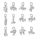 TrustDavis 925 Silver Zodiac Bracelet Pendant for Women Birthday Jewelry DZ830