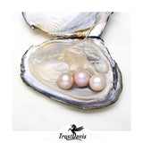 Davis 925 Silver Natural Pearls Zircon Stud Earrings ES014