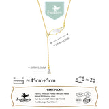 TrustDavis 925 Silver Wing Zircon Necklace Minimalist Clavicle Chain