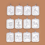 TrustDavis 990 Sterling Silver Zodiac Charm Pendant