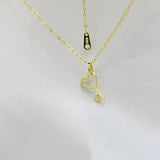 Trustdavis 925 Sterling Silver 14K Plated Heart Zircon Key Pendant Necklace