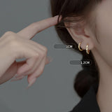 Trustdavis 925 Silver Geometric Hoop Earring Punk Jewelry