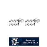 Trustdavis 925 Silver 12 Constellation Stud Earrings DS1986
