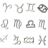 Trustdavis 925 Silver 12 Constellation Stud Earrings DS1986
