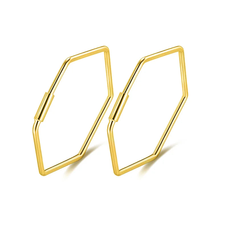 Trustdavis 925 Silver Women's Hexagon Hoop Earrings DS133