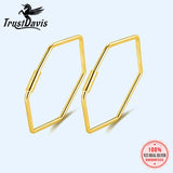 Trustdavis 925 Silver Women's Hexagon Hoop Earrings DS133