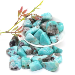 Amazonite Crystal Tumbled Stone - Reiki Healing Energy - Home Aquarium