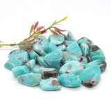 Amazonite Crystal Tumbled Stone - Reiki Healing Energy - Home Aquarium