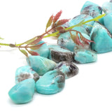 Amazonite Crystal Tumbled Stone - Reiki Healing Energy - Home Aquarium