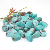 Amazonite Crystal Tumbled Stone - Reiki Healing Energy - Home Aquarium