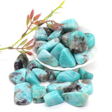 Amazonite Crystal Tumbled Stone - Reiki Healing Energy - Home Aquarium