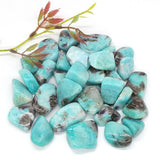 Amazonite Crystal Tumbled Stone - Reiki Healing Energy - Home Aquarium