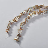 [Two packs] natural freshwater mother shell triangle beads