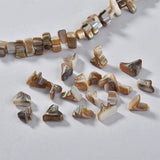 [Two packs] natural freshwater mother shell triangle beads