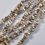 [Two packs] natural freshwater mother shell triangle beads