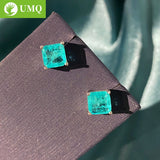925 Silver Paraiba Tourmaline Gemstone Ear Studs Earrings